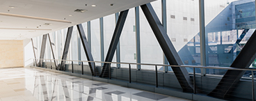 政策動(dòng)態(tài)